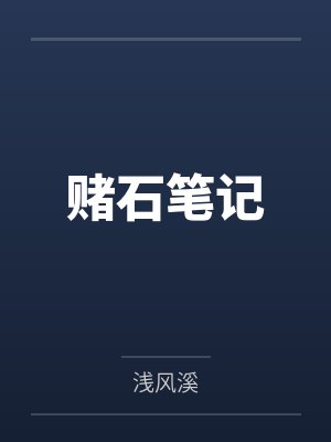 极品小司机
