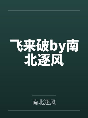飞来破by南北逐风